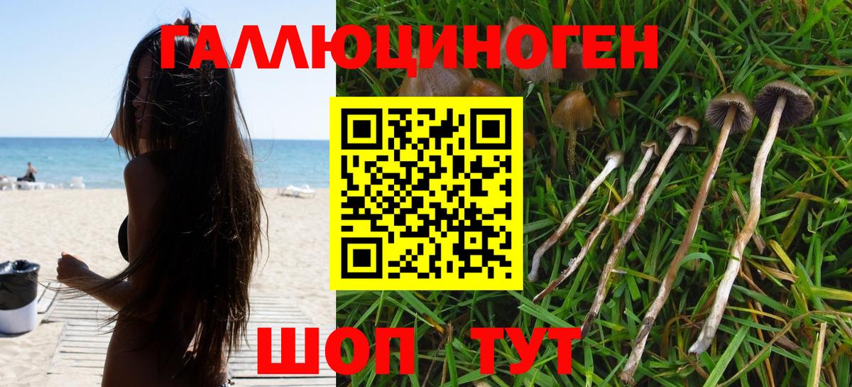 Галлюциногенные грибы Psilocybine cubensis Чусовой